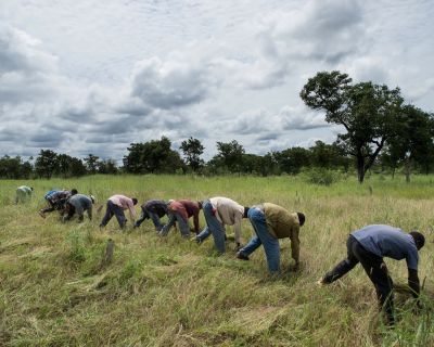 Work and the Environment in Burkina Faso