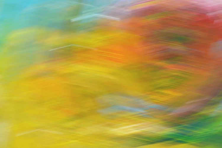 Life Lived in Colour