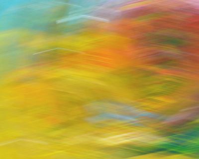 Life Lived in Colour