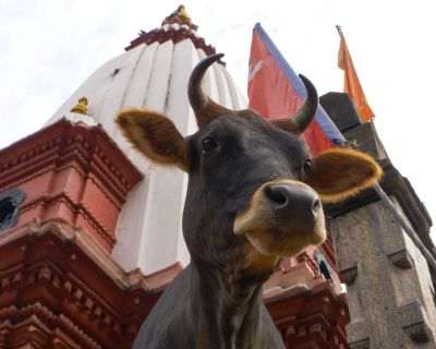 Stills.00_00_15_05.Still001