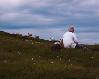 Heritage, Herd, Horizon