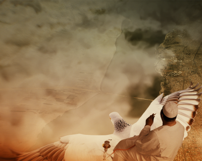 KHARTOUM_Magdi_Pigeon_001_Large