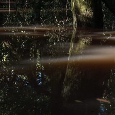 Sequence 37.00_01_59_12.Still009